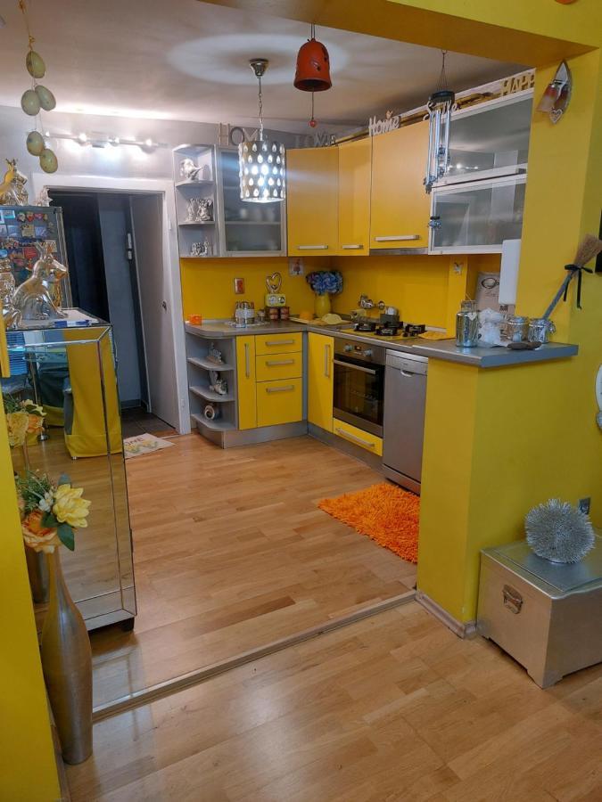 Queen House Apartman 萨格勒布 外观 照片