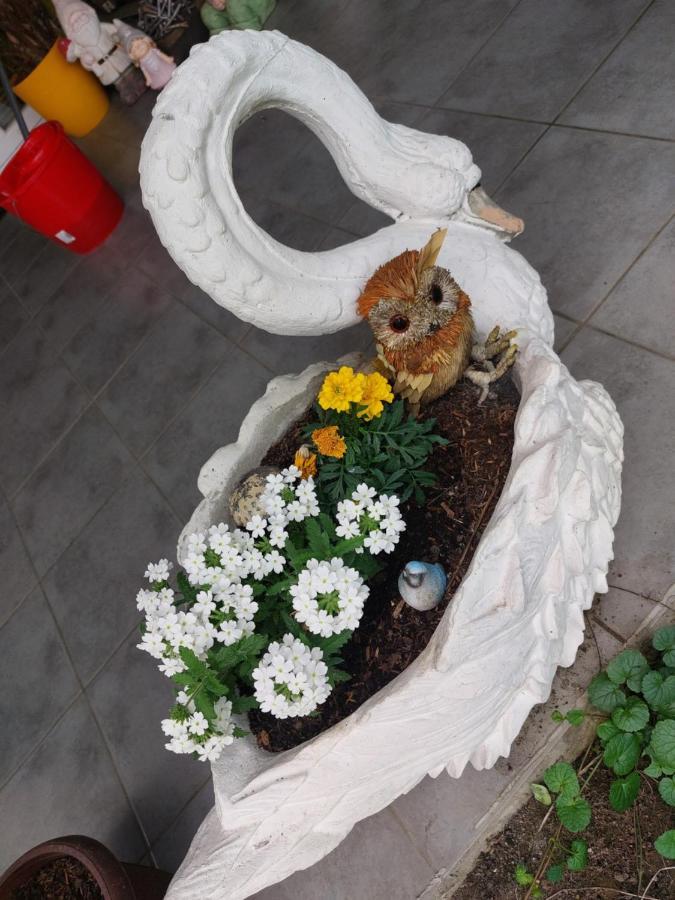 Queen House Apartman 萨格勒布 外观 照片